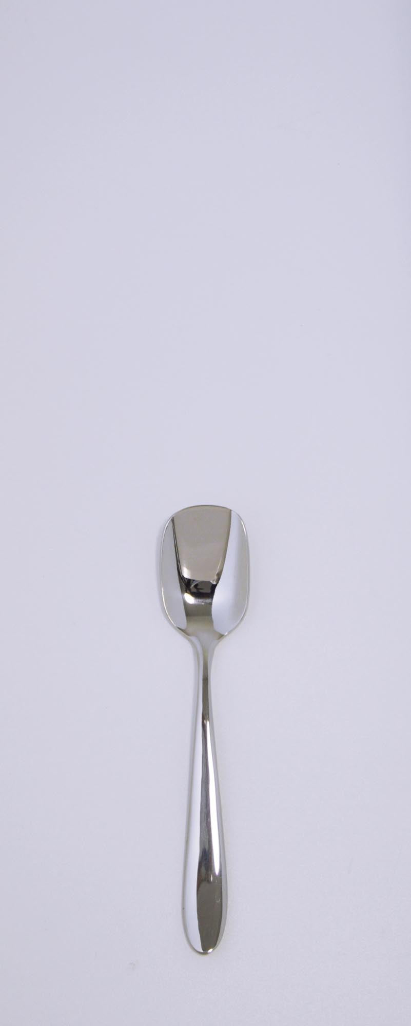 Elegante Ritz Glacélöffel von Pintinox, 13,8 cm, aus 18/10 Edelstahl, langlebig, korrosionsbeständig, ergonomisch, ideal für Desserts.