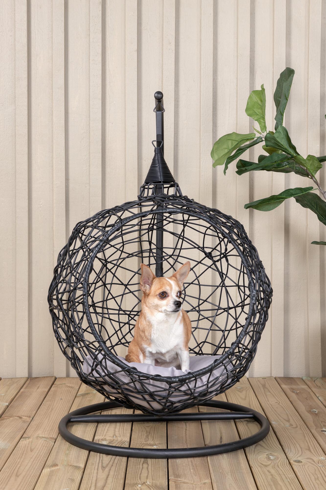 Lexi Hängesessel in Schwarz präsentiert im Onlineshop von KAQTU Design AG. Schaukel Outdoor ist von Venture Home