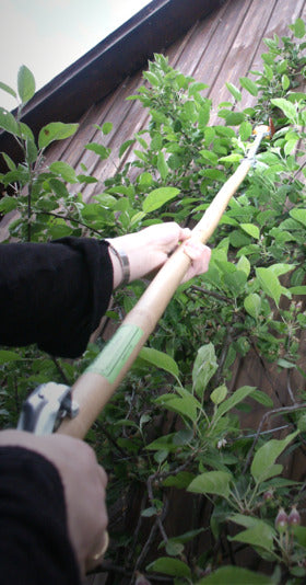 Entdecken Sie den klappbaren Obstpflücker 300 cm von E + h – ideal für müheloses Ernten von Obst in luftiger Höhe. Praktisch und langlebig!