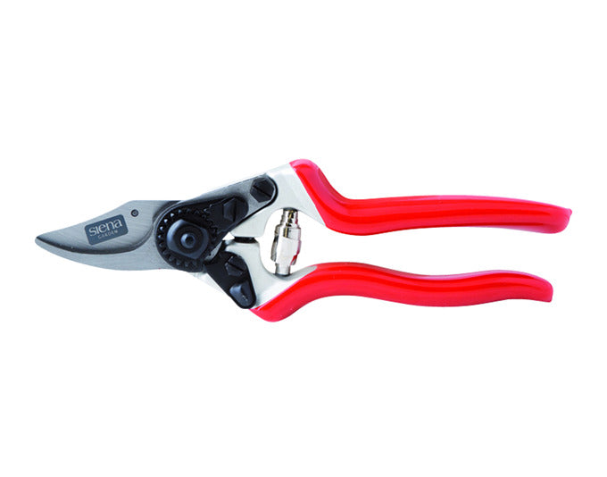 SIENA GARDEN Baumschere Premium 20.5 cm mit kleinem Schneidkopf in präsentiert im Onlineshop von KAQTU Design AG. Werkzeug ist von SIENA GARDEN