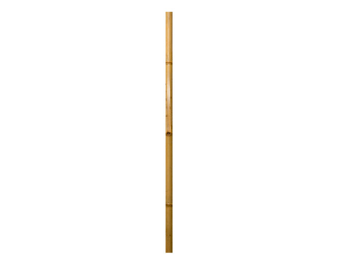 Windhager Bambus-rohr 2 m ø 4 cm Natur Türkis