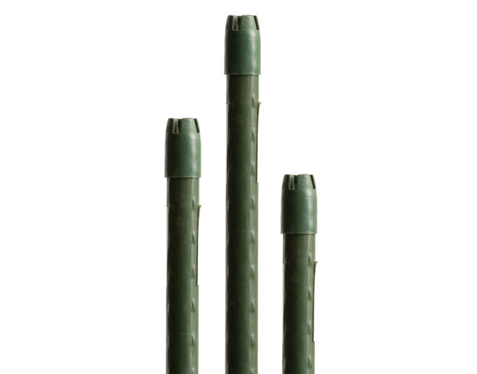 pflanzstäbe 180 Windhager Pflanzenstab Stahl180cm 16mm Türkis