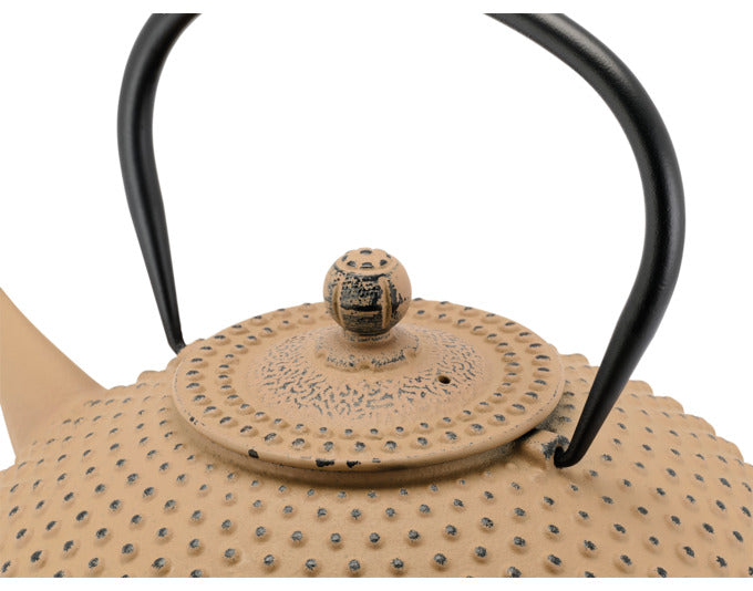 Entdecken Sie die BREDEMEIJER Teekanne Xilin 1.25 l aus Gusseisen – stilvolles Design, hervorragende Wärmespeicherung und einfache Reinigung für Teegenuss.