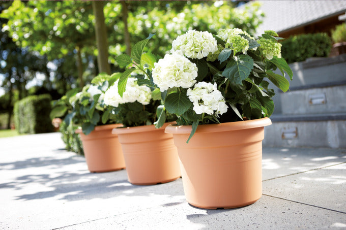 Entdecken Sie den ELHO Green Basics Cylinder ø 30 cm – einen eleganten, umweltfreundlichen Blumentopf aus robustem Kunststoff, perfekt für mittelgroße Pflanzen.