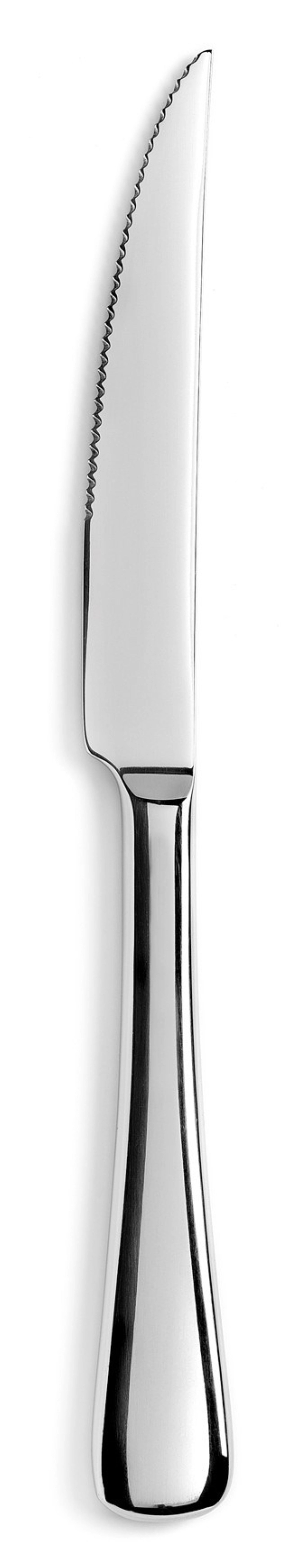 Entdecken Sie das elegante Arles Steakmesser von Revol aus glänzendem Edelstahl. Perfekt für Fleischliebhaber, mit hervorragender Schnitthaltigkeit und stilvollem Design.