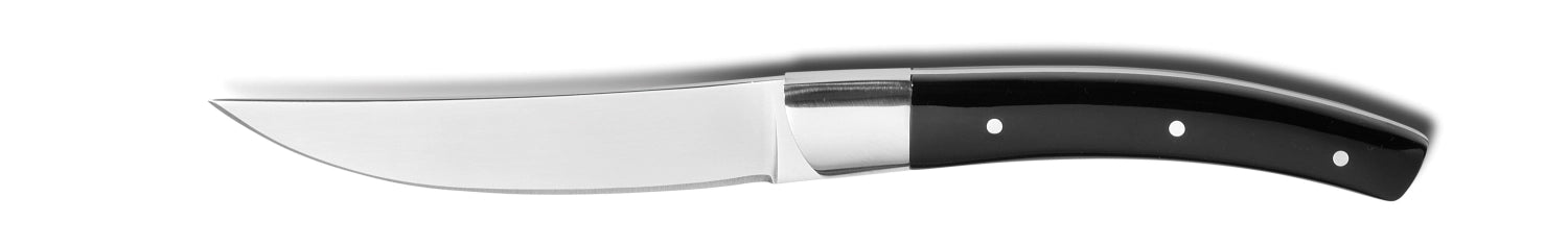 Steakmesser Zermatt 227mm in Schwarz präsentiert im Onlineshop von KAQTU Design AG. Küchenmesser ist von Comas