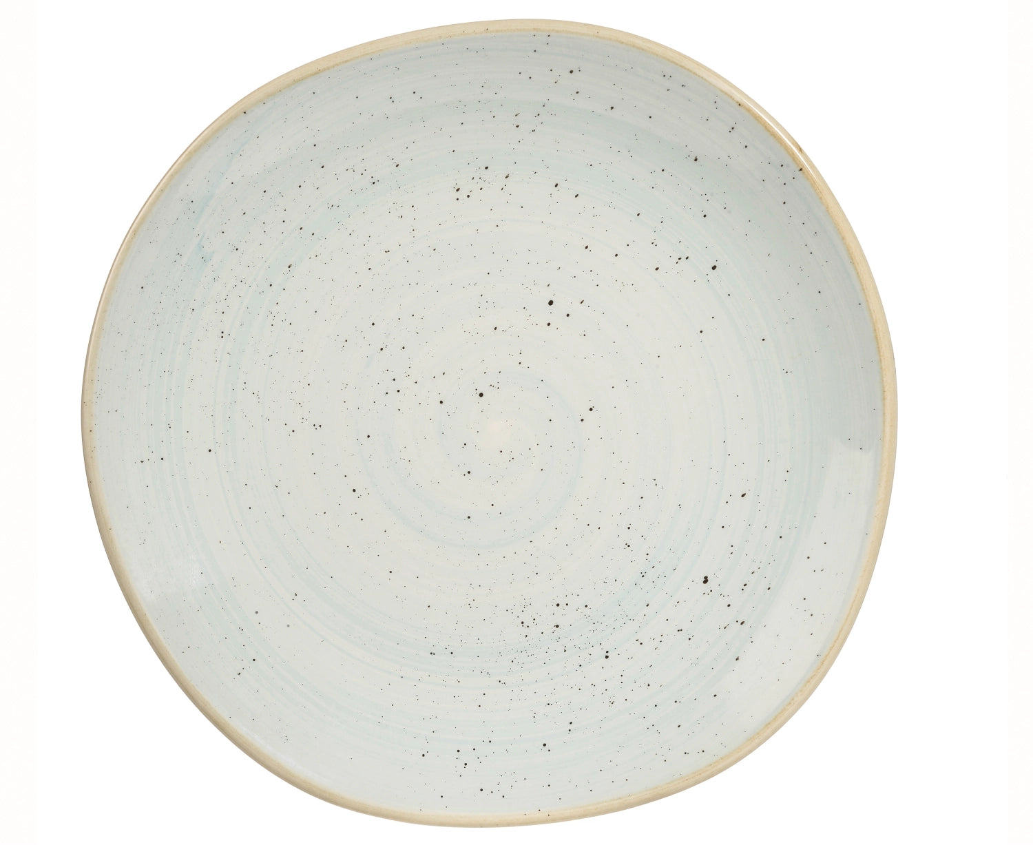 Stonecast Duck Egg Blue Organic plate flat 26.4cm