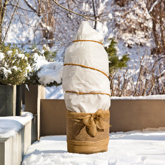 Schützen Sie Ihre Pflanzen nachhaltig mit dem Winterschutz greenLine Öko 1x2.5 cm von WINDHAGER. Umweltfreundlich, atmungsaktiv und effektiv gegen Wintereinflüsse.
