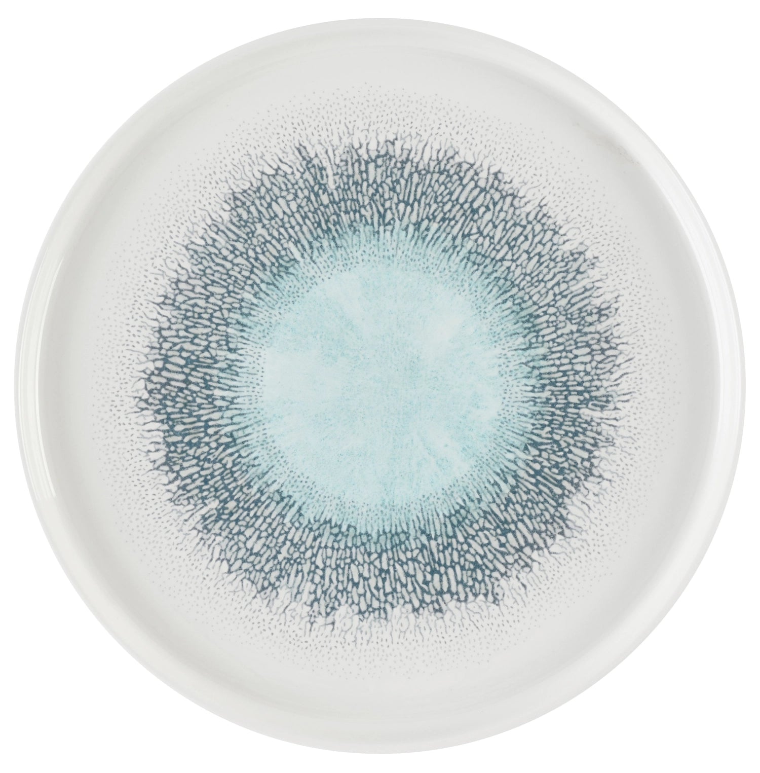 S.PAssiette murale Fusion Blue Chefs 26 cm