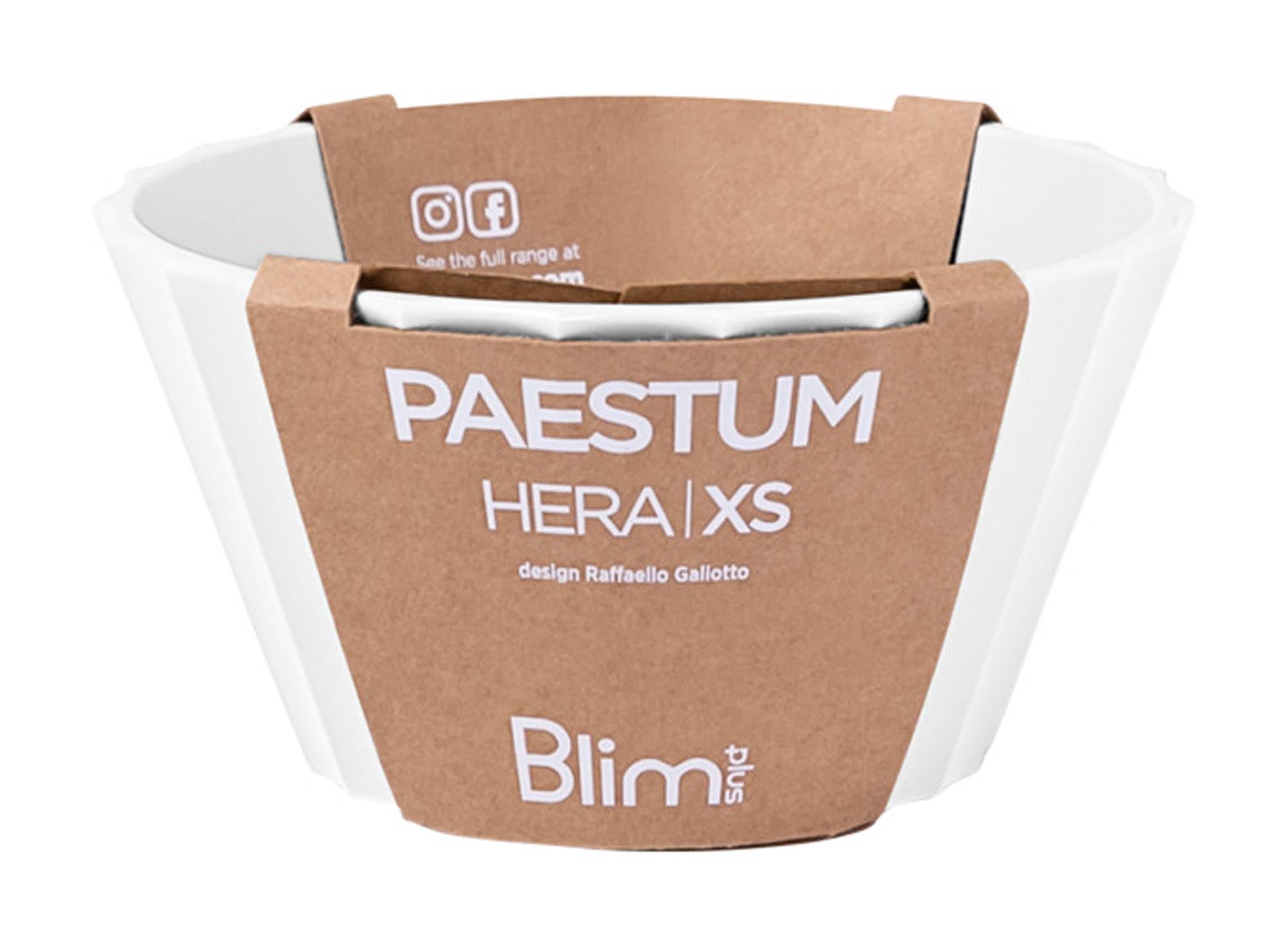 BLIM PLUS Schüssel Hera Gr. XS ø 11 cm H 6 cm weiss in präsentiert im Onlineshop von KAQTU Design AG. Schüssel ist von BLIMPLUS