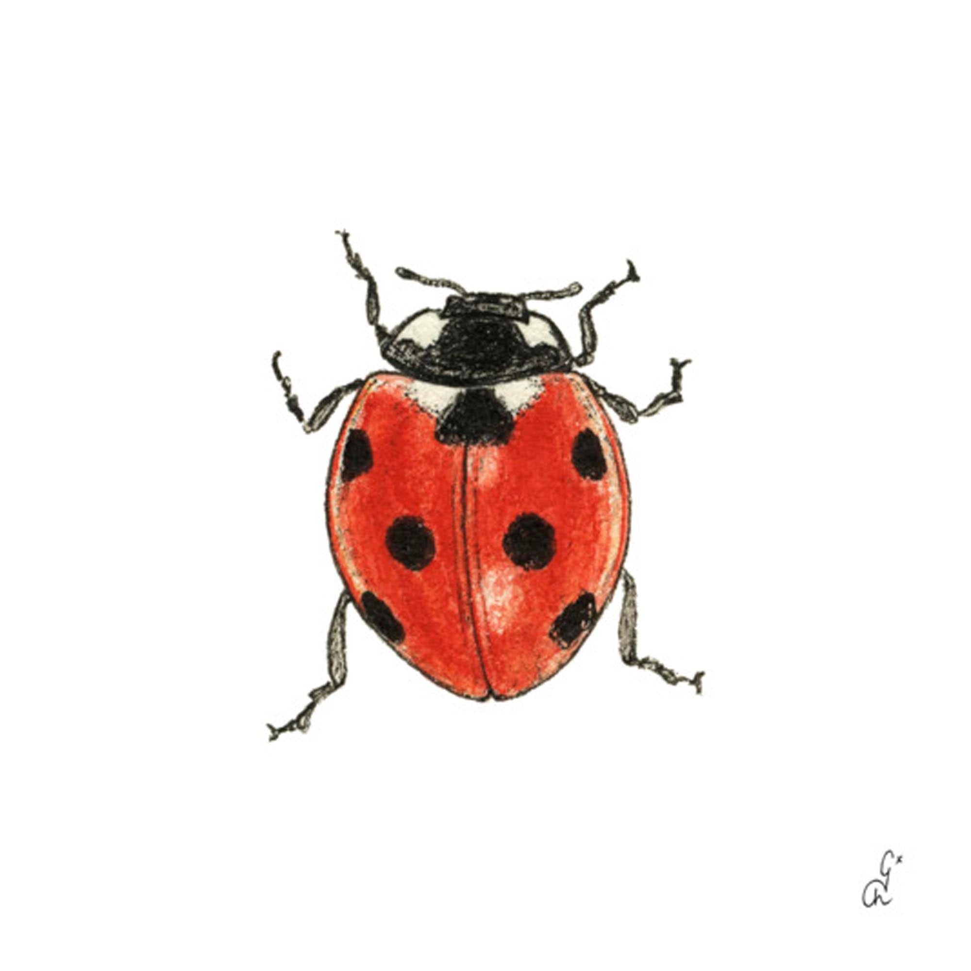 Entdecken Sie die eleganten PPD Servietten Madeleine 33x33 cm – ideal für Hochzeiten, Geburtstagsfeiern und festliche Anlässe. Hochwertig, saugfähig und umweltfreundlich!