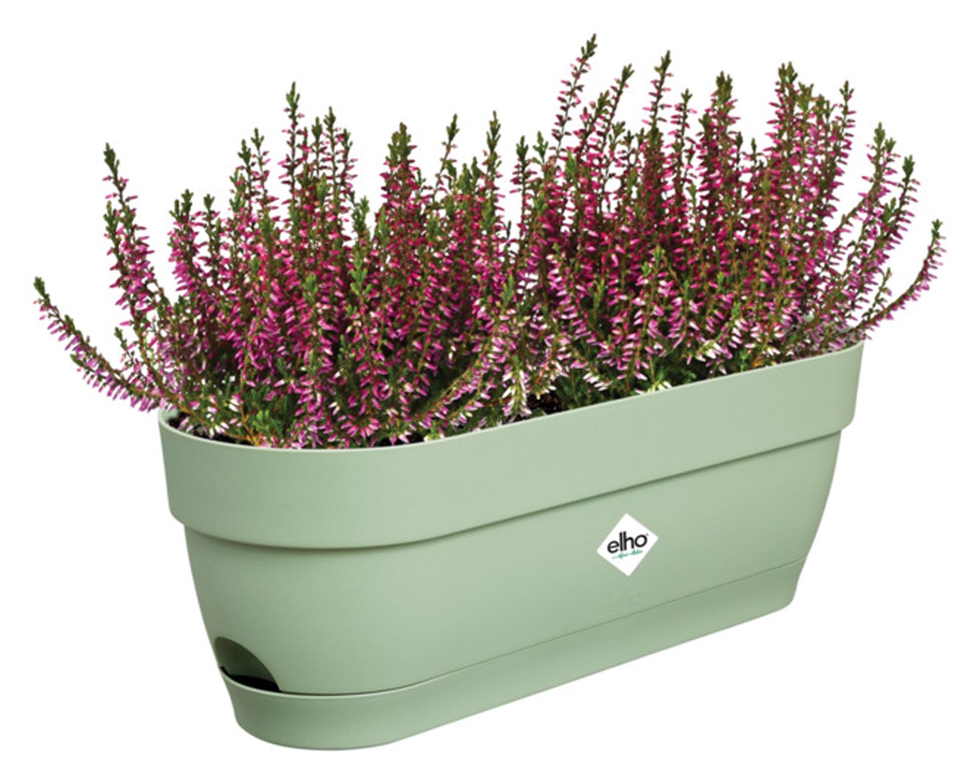 Frischer ELHO Balkonkasten Vibia Campana in pistaziengrün, 49x18.2x17 cm, aus langlebigem, recycelbarem Kunststoff, ideal für Blumen und Kräuter.