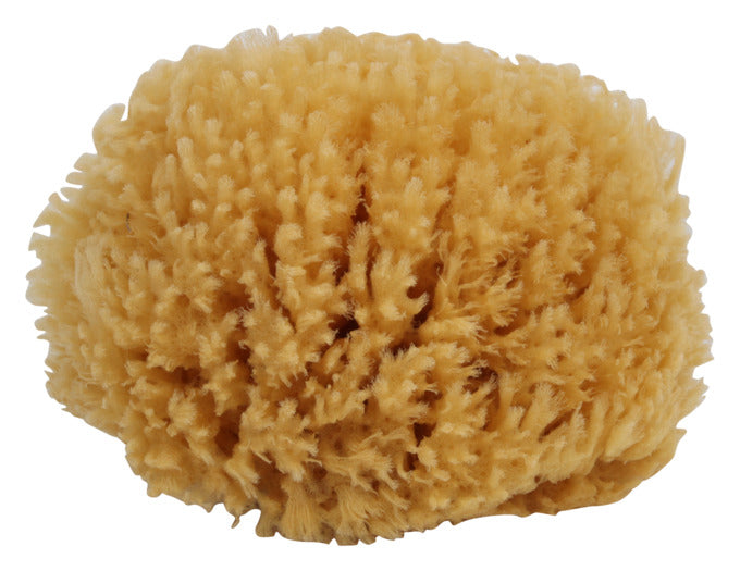REDECKER Naturschwamm mit Baumwollband in präsentiert im Onlineshop von KAQTU Design AG. Reinigung & Wäsche ist von REDECKER