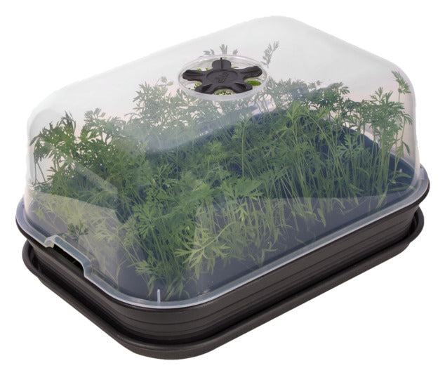 ELHO Anzuchtset M living black in präsentiert im Onlineshop von KAQTU Design AG. Gartenutensilien ist von ELHO