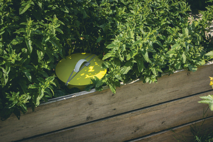 Entdecken Sie den PLASTIA Wurmkomposter für Hochbeete – die nachhaltige Lösung zur Umwandlung von Küchenabfällen in nährstoffreichen Wurmhumus für Ihren Garten.