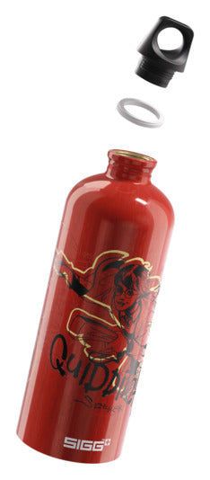 Entdecke die SIGG Traveller Bottle Quidditch 1 l – die ideale Trinkflasche für Harry-Potter-Fans! Hochwertig, leicht und im magischen Design.