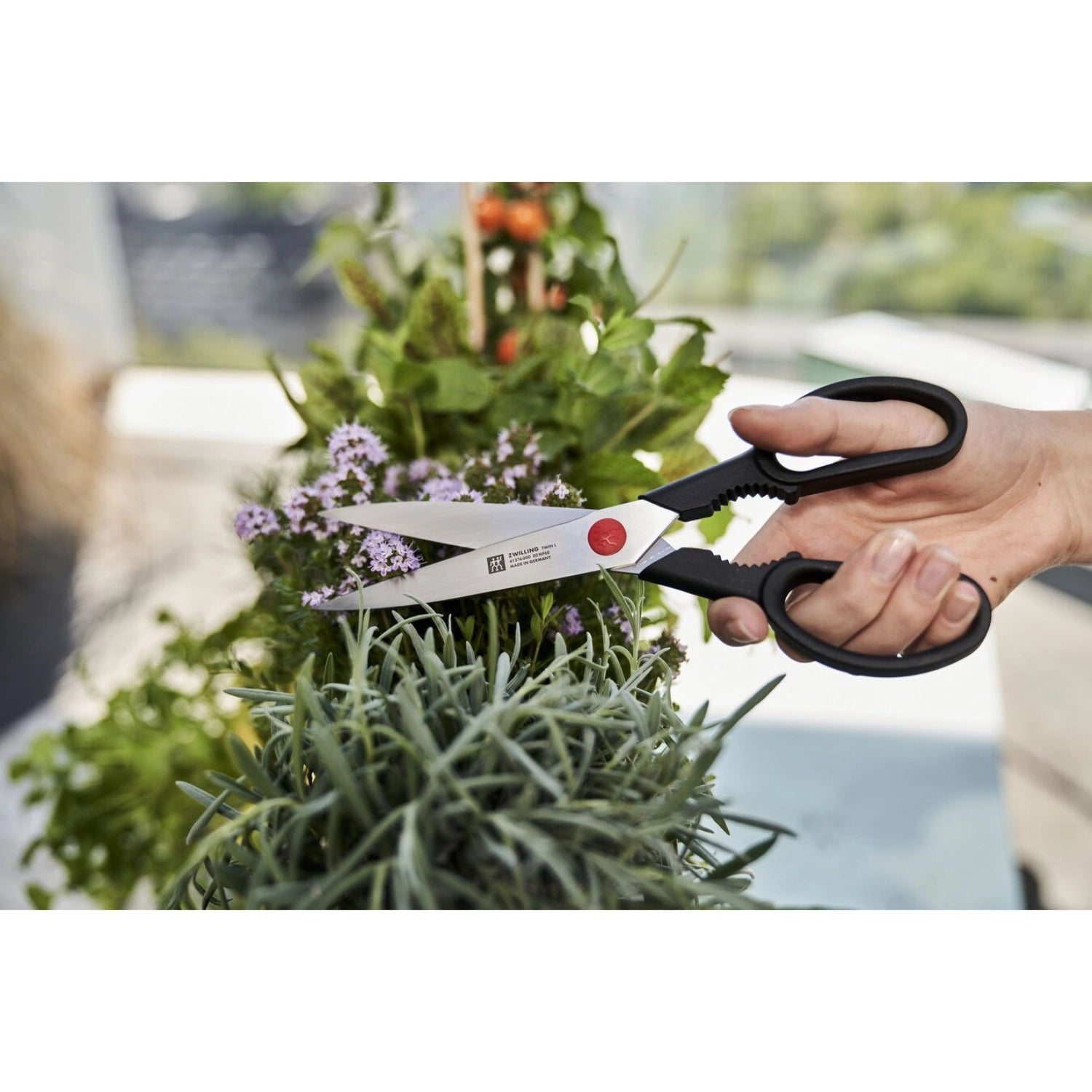 Die Twin L Vielzweckschere von Zwilling Kitchen ist 230 mm lang, aus langlebigem Edelstahl gefertigt und ideal für alle Küchenaufgaben.
