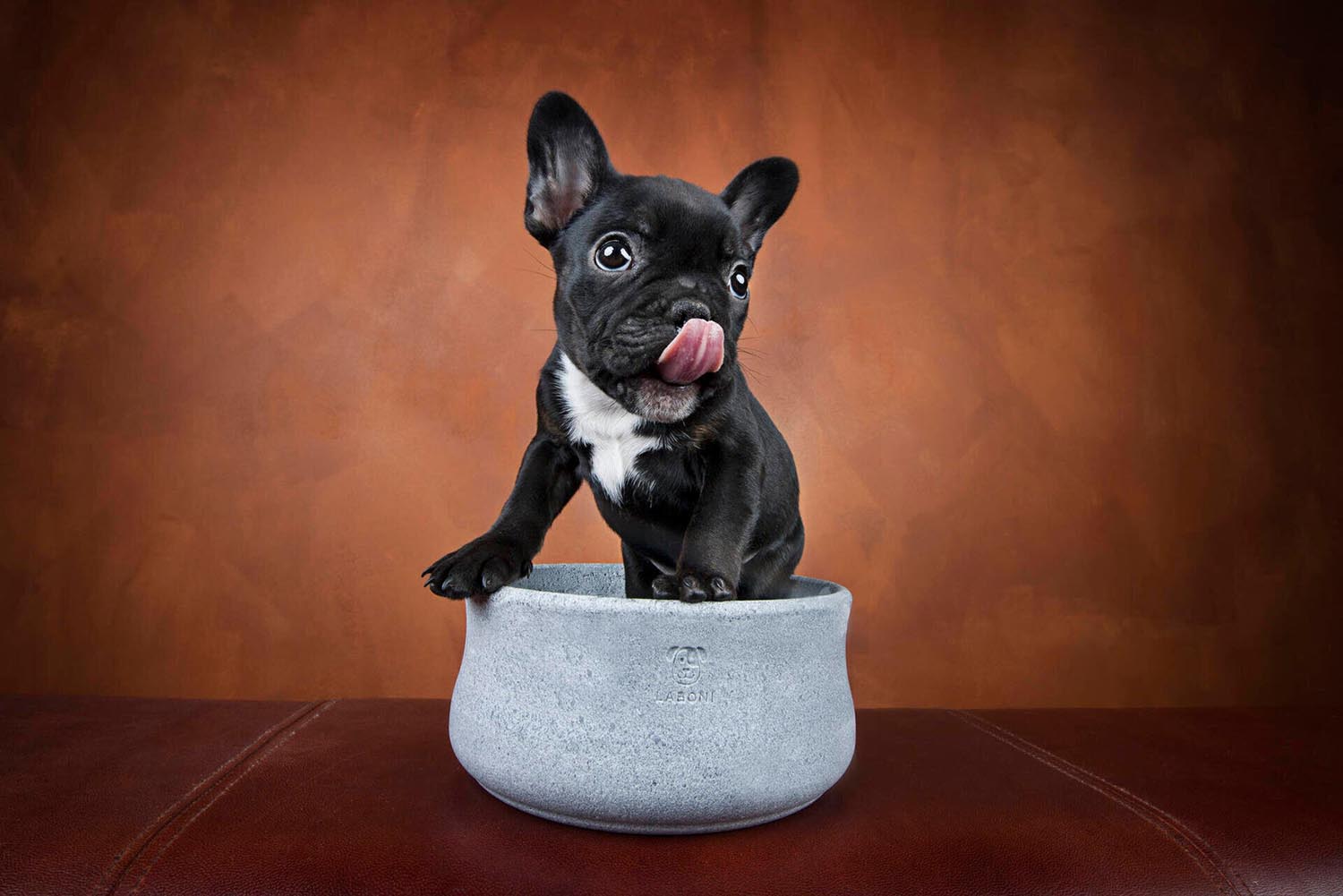 Eleganter LABONI Rocky Napf (0.5 l) aus robustem Speckstein. Perfekt für kleine bis mittelgrosse Hunde, rutschfest und leicht zu reinigen!