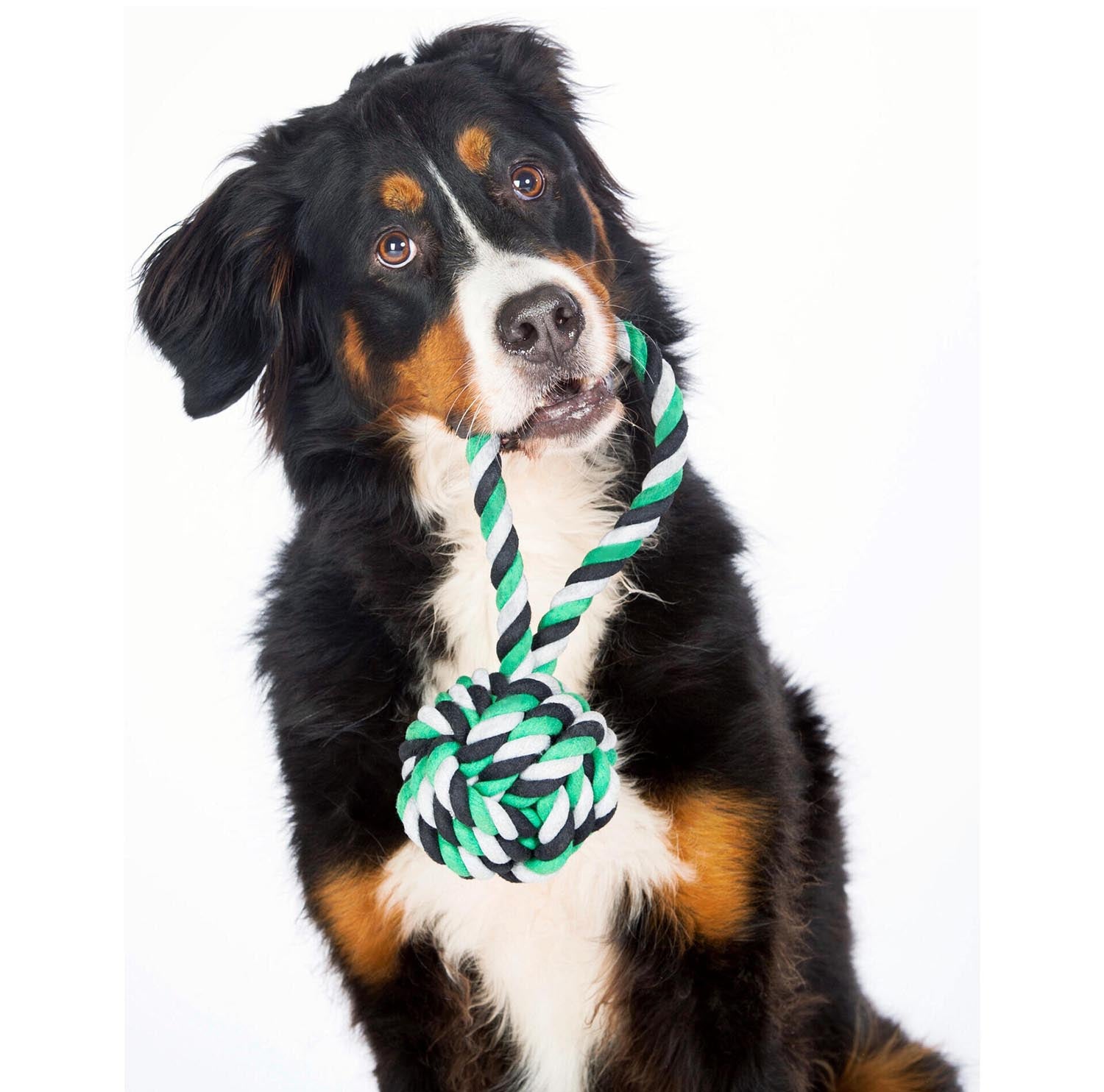 Der LABONI Schleuderball Mega (11x11x26 cm, grün) ist das perfekte Spielzeug für aktive Hunde – robust, zahnfreundlich und ideal für spannende Spiele im Freien!