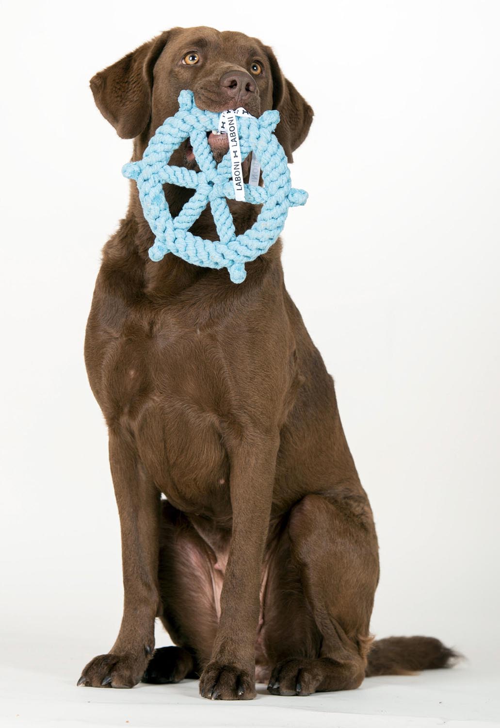 Das LABONI Spielzeug Skipper aus natürlicher Baumwolle ist perfekt für aktive Hunde. Langlebig, sicher und ideal für spannende Apportierspiele!