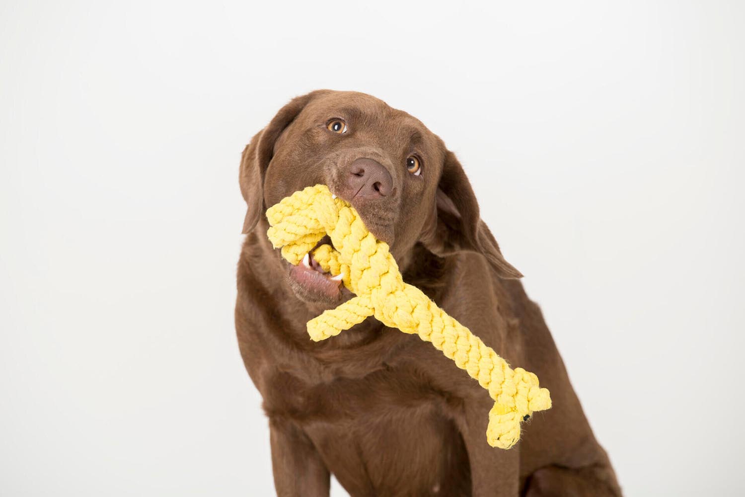 Erleben Sie mit der LABONI Greta Giraffe ein sicheres und langlebiges Spielzeug aus 100% Baumwolle. Perfekt für interaktives Spielen und einfache Pflege!