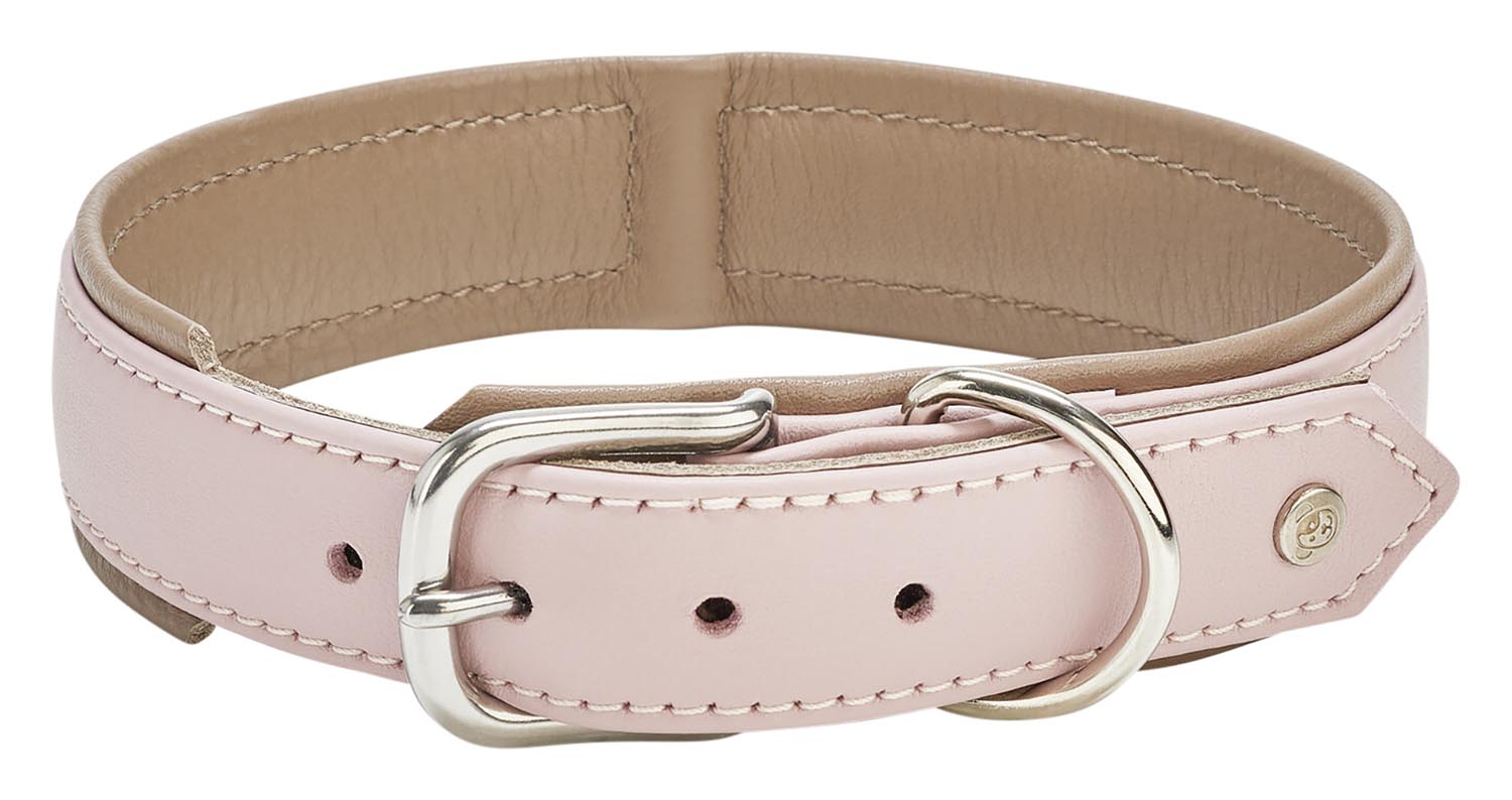 Erleben Sie das LABONI Nappa Amici Cognac XL Halsband – luxuriös, bequem und perfekt für große Hunderassen. Stil und Qualität vereint!