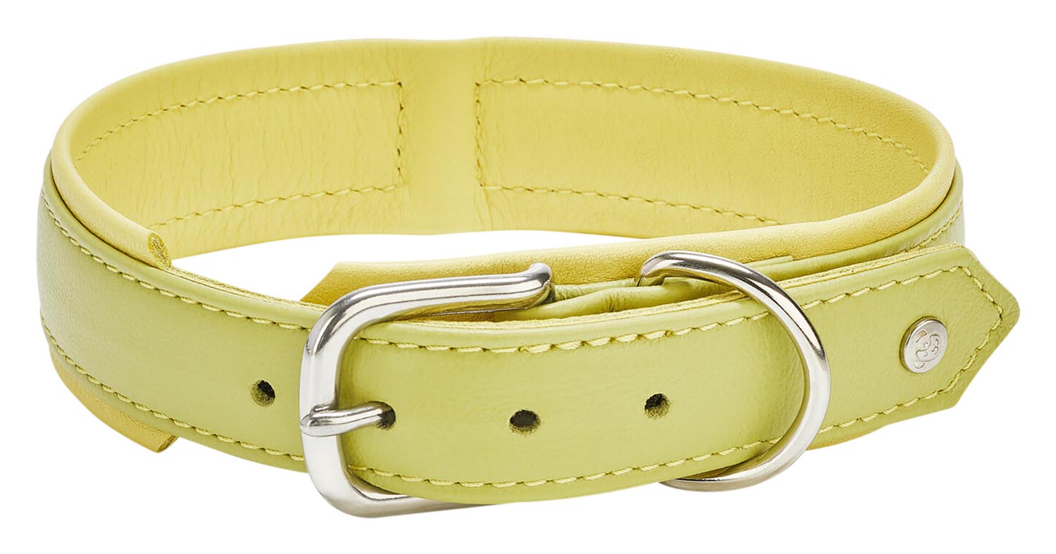 Entdecken Sie das LABONI Halsband Nappa Amici Cognac L – ein luxuriöses, strapazierfähiges Halsband aus feinstem Nappaleder, ideal für große Hunderassen.