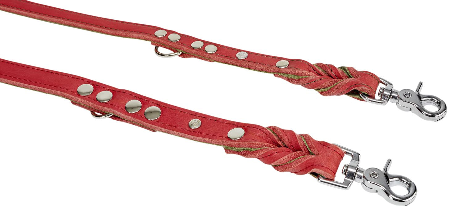 Entdecken Sie die LABONI Fettleder Leine Edelweiss in rot-grün L – robust, geschmeidig und stilvoll für unvergessliche Spaziergänge mit Ihrem Hund.