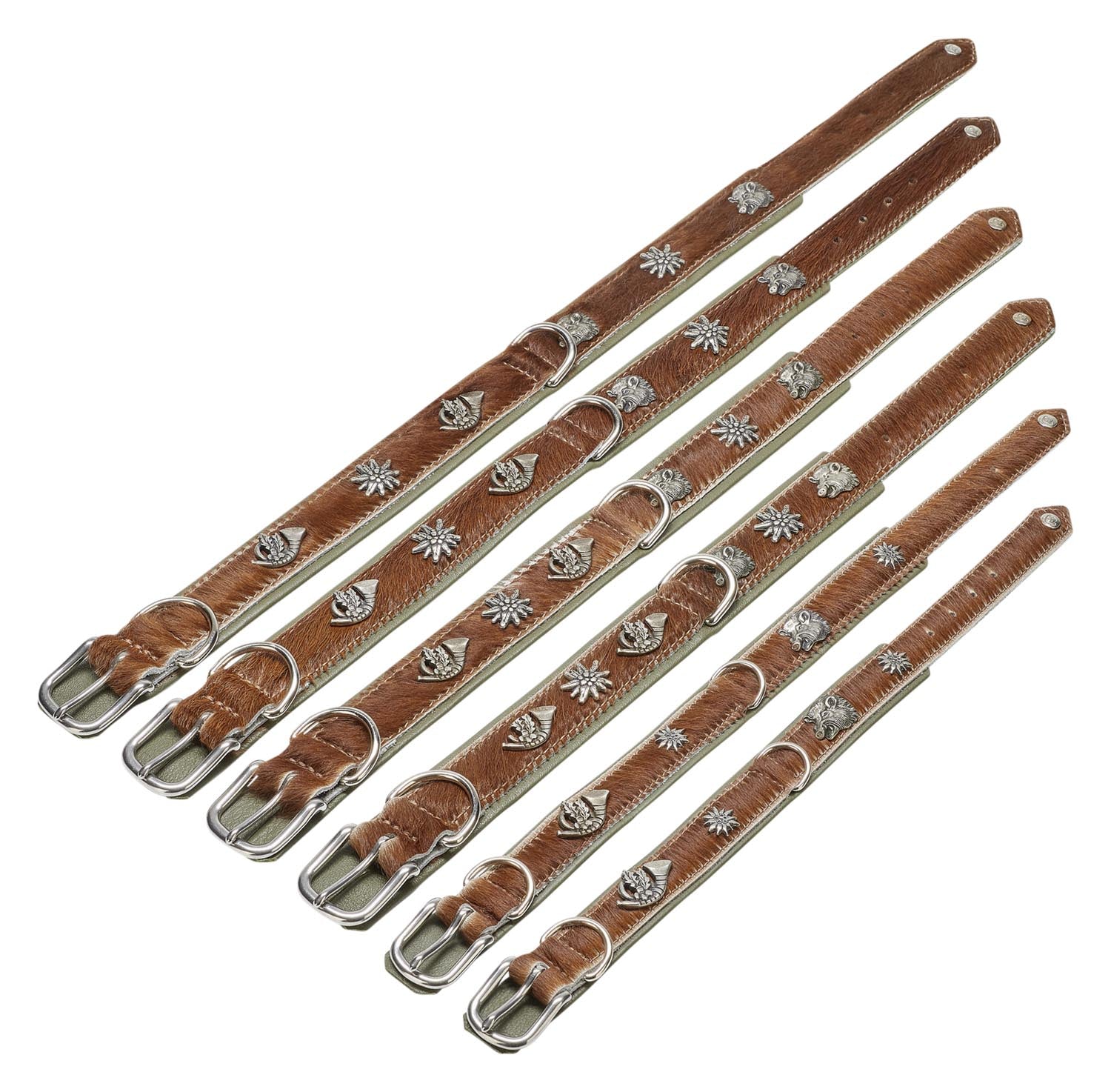 Entdecken Sie das LABONI Halsband Bavaria XS in braun-grün – stilvoll, langlebig und ideal für aktive kleine Hunde. Ein echter Hingucker!