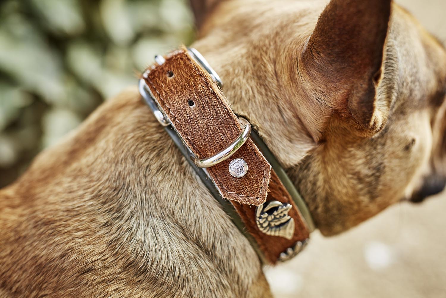 Das LABONI Halsband Bavaria XXL in braun-grün vereint elegantes Design mit hoher Strapazierfähigkeit. Perfekt für große Hunde, die Komfort und Stil schätzen!