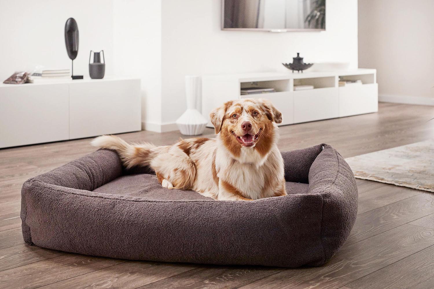 Das LABONI Hundebett Classic Teddy Creme M vereint Komfort und Stil, ideal für mittelgroße Hunde, mit pflegeleichtem Bezug und optimaler Gelenkunterstützung.