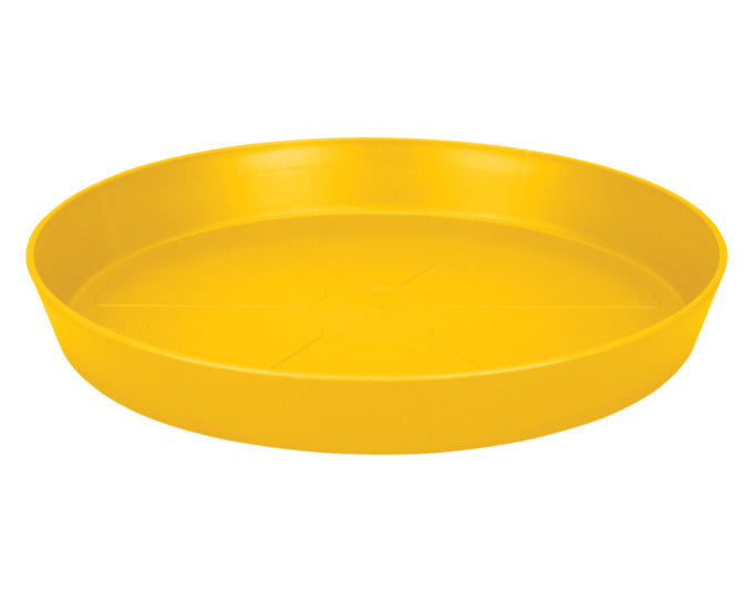 ELHO Untersetzer loft urban rund ø 34 cm seidenweiss in präsentiert im Onlineshop von KAQTU Design AG. Pflanzentopfzubehör ist von ELHO