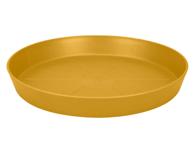 ELHO Untersetzer loft urban rund ø 30 cm seidenweiss in präsentiert im Onlineshop von KAQTU Design AG. Pflanzentopfzubehör ist von ELHO