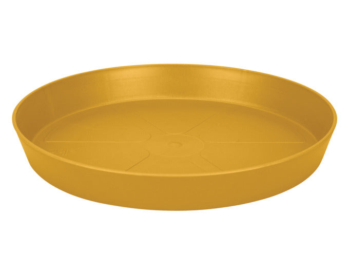 ELHO Untersetzer loft urban rund 21 cm seidenweiss in präsentiert im Onlineshop von KAQTU Design AG. Pflanzentopfzubehör ist von ELHO