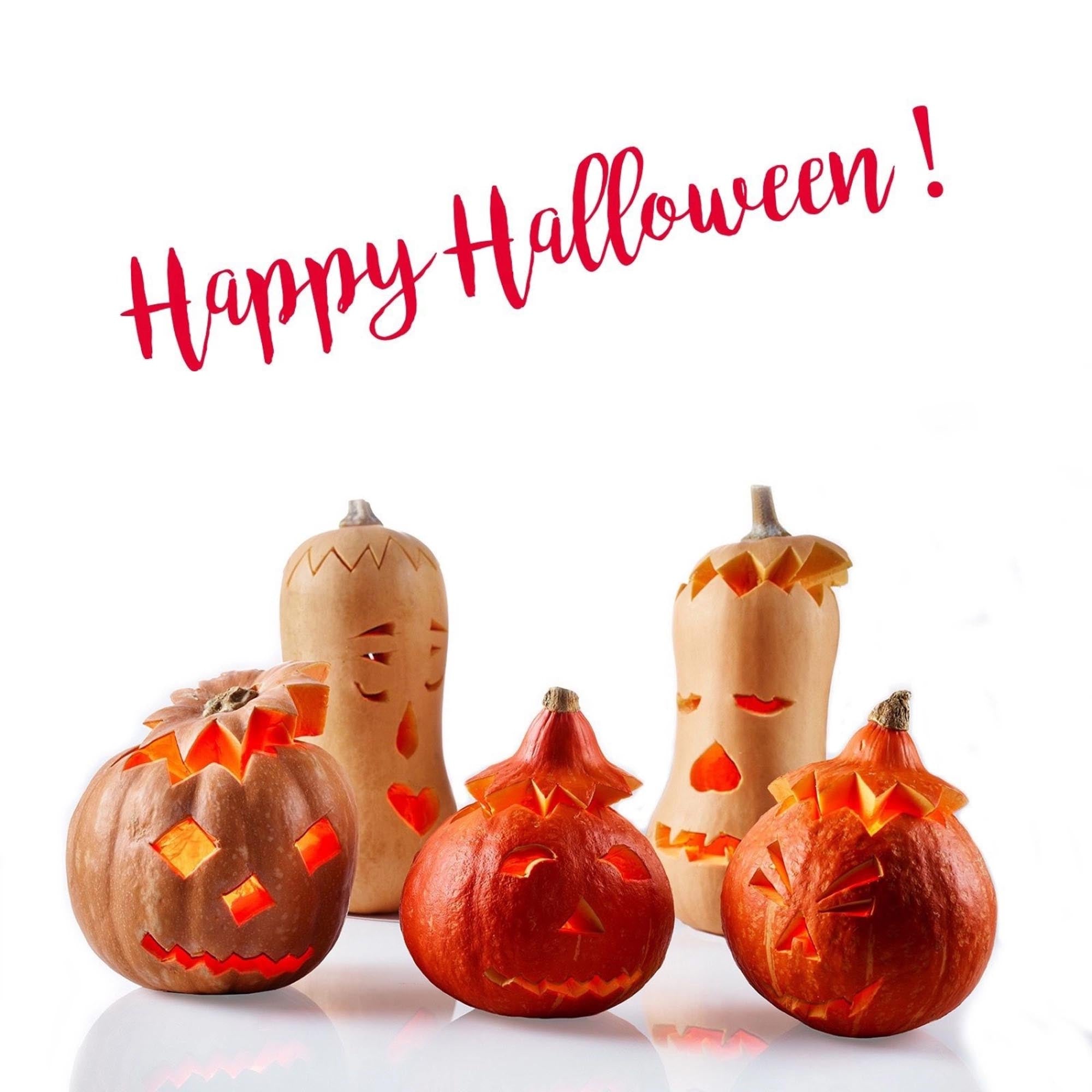 Praktisches 4-teiliges Kürbis-Schnitz-Set von Westmark, ideal für kreative Halloween-Dekorationen und präzises Schnitzen.