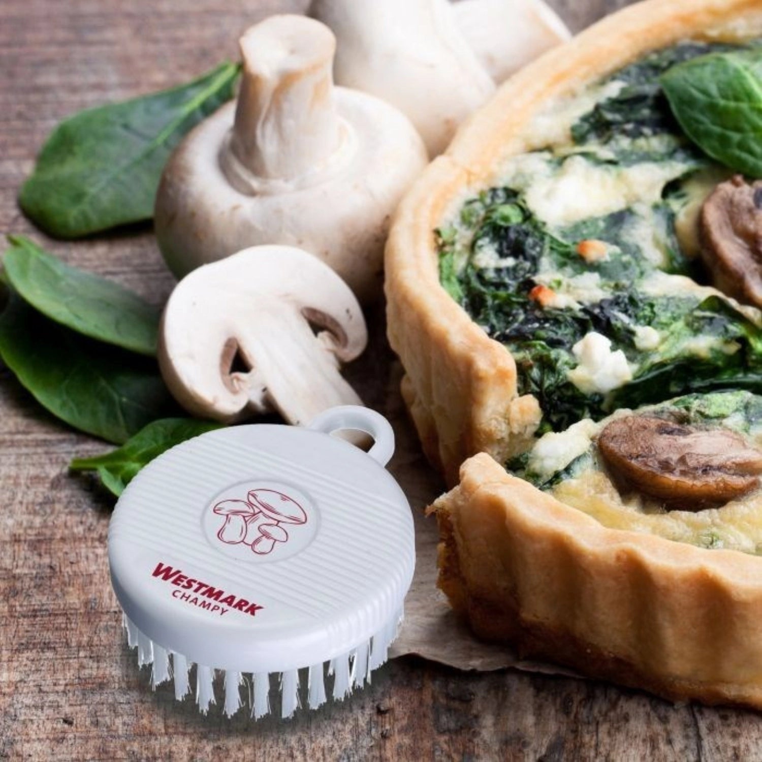 Pilz- und Gemüse-Reinigungsbürste Champy von Westmark, kompakt (8x6x3cm), ideal für die schonende Reinigung von frischen Lebensmitteln.