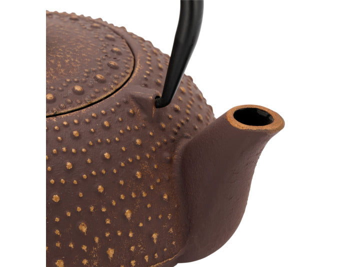 Entdecken Sie die stilvolle BREDEMEIJER Teekanne Anhui in Aubergine (0.9 l) – ideal für Teegenuss mit elegantem Design und praktischen Funktionen.