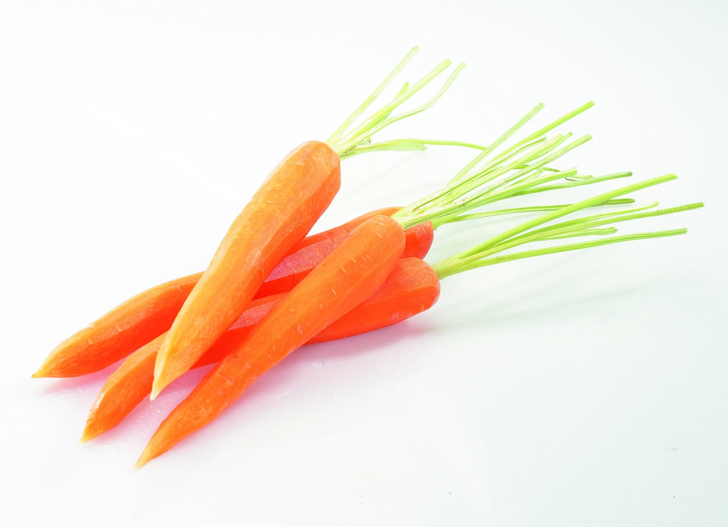 Entdecken Sie den Peel-Star Alu von Westmark – ein langlebiger Gemüse- und Doppelschäler mit ergonomischem Griff und scharfen Klingen für präzises Schälen.