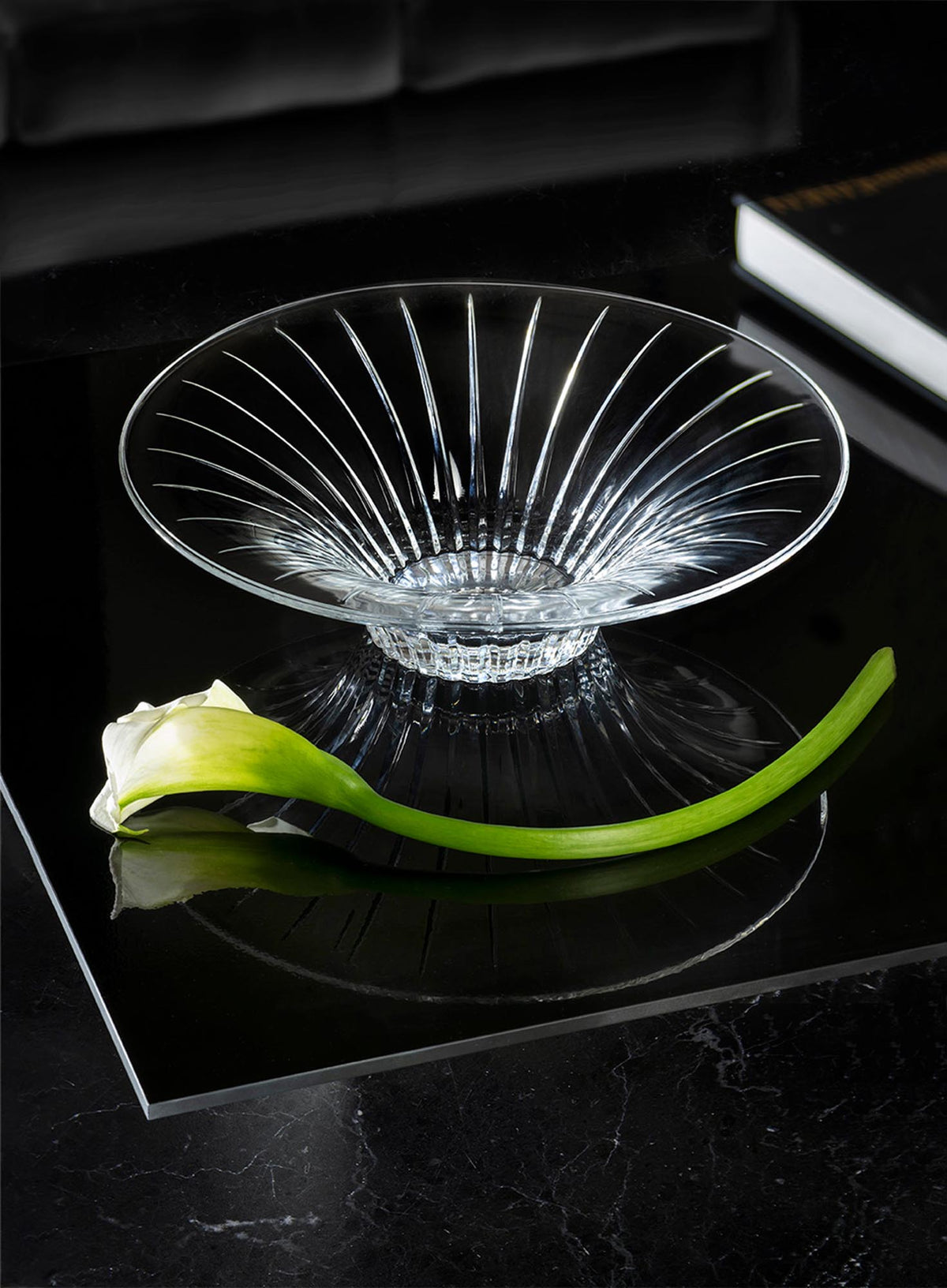 Transparente Glasschale der Timeless Serie von RCR, rund, Durchmesser 32 cm, Höhe 10.2 cm, auf hellem Hintergrund freigestellt.