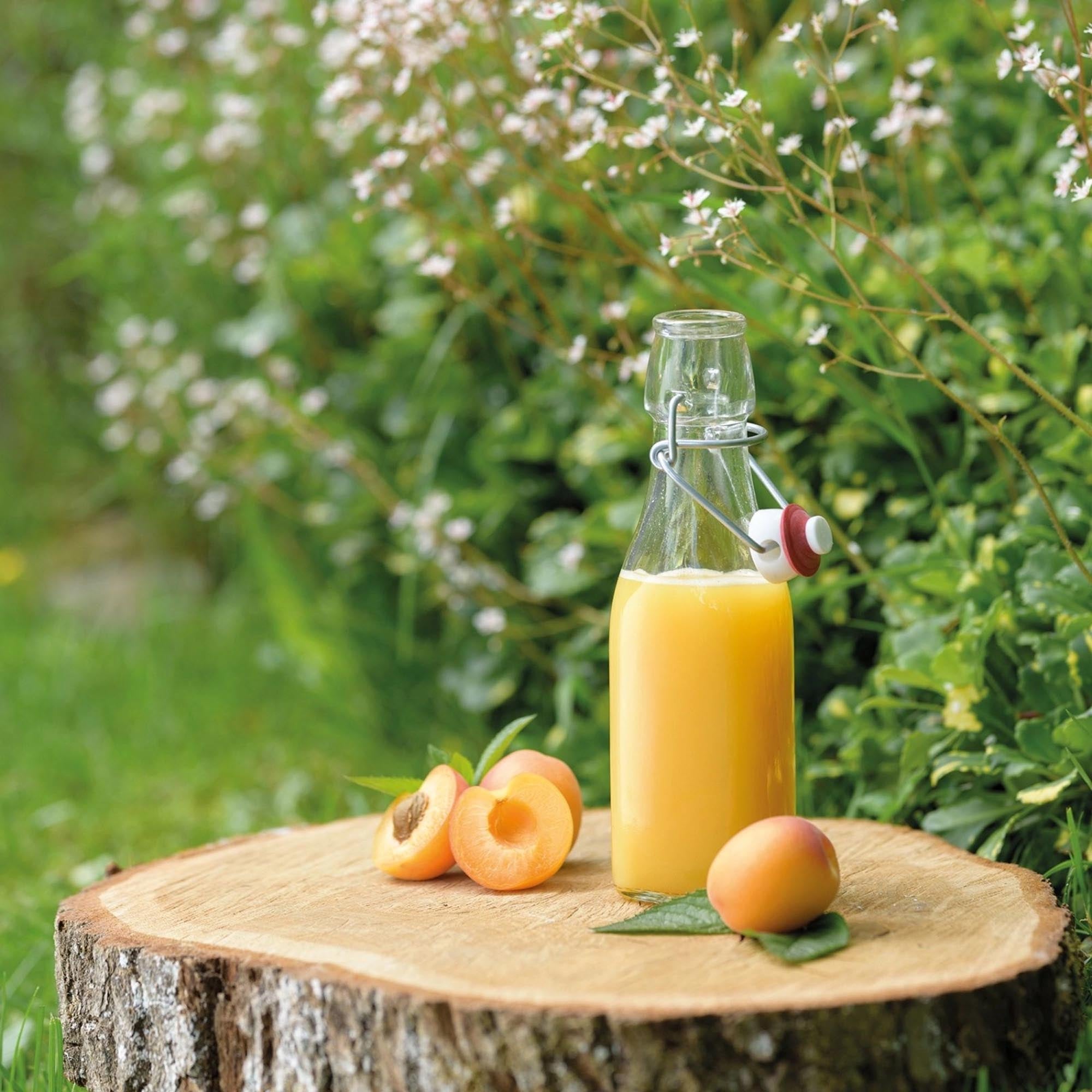 Stilvolle 250ml Bügelverschlussflasche von Westmark, perfekt für Flüssigkeiten, mit Anhänger für persönliche Beschriftungen.