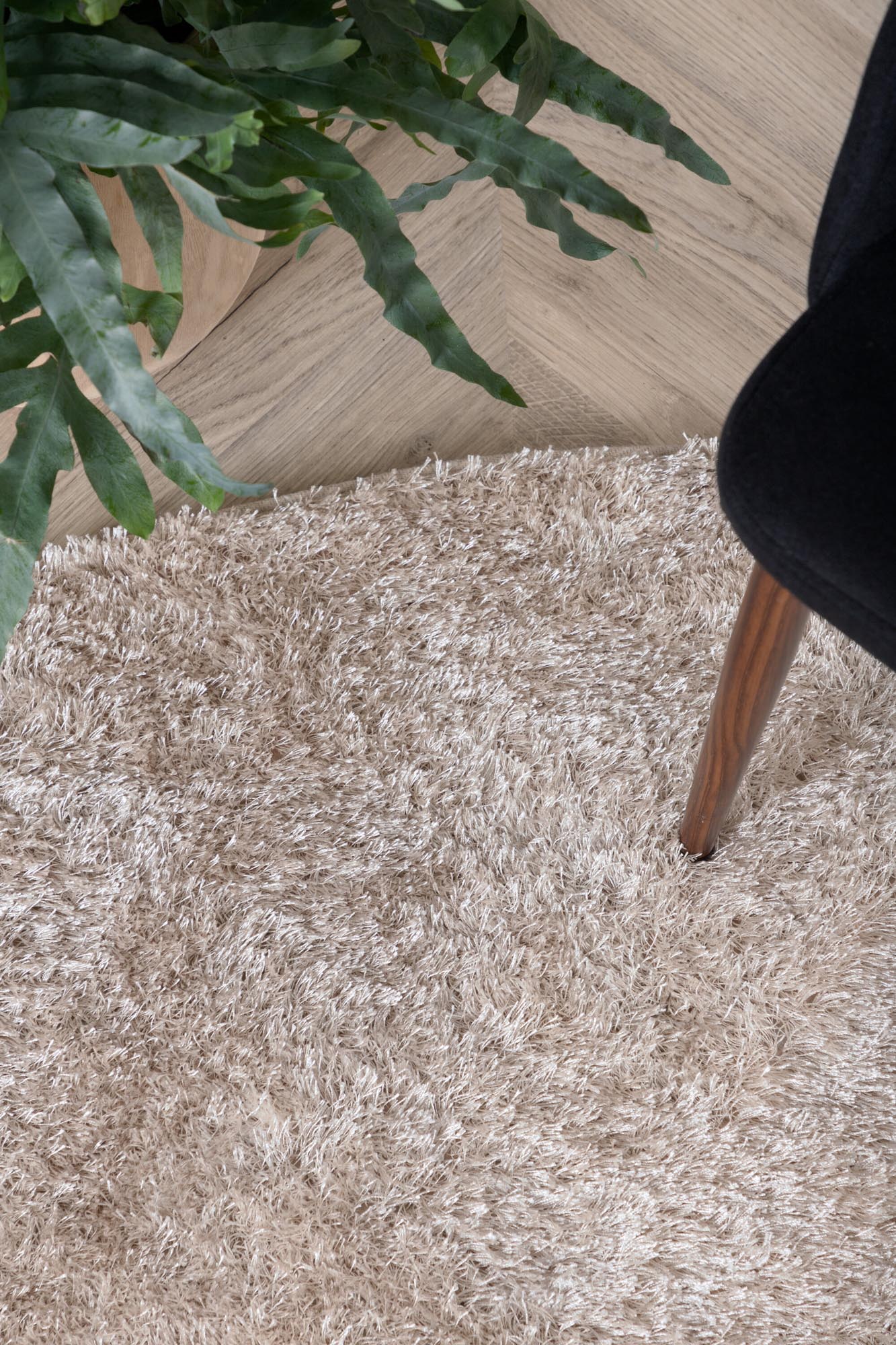 Entdecken Sie den Mattis Teppich von Venture Home: Hochwertiger Polyester, elegantes Design und angenehmes Laufgefühl für Ihr Zuhause.