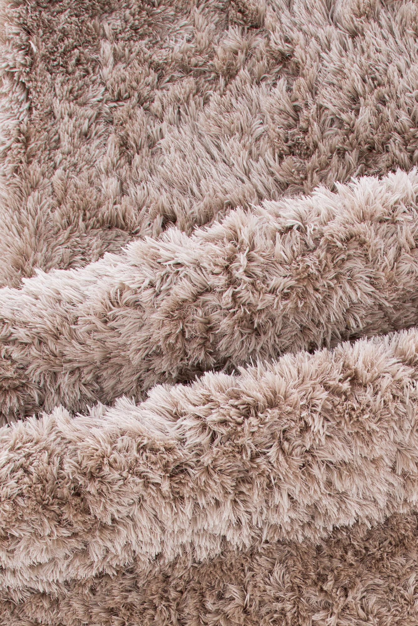 Entdecken Sie den Grace Teppich von Venture Home – ein luxuriöser, weicher Teppich aus strapazierfähigem Polyester, ideal für jedes Zuhause.