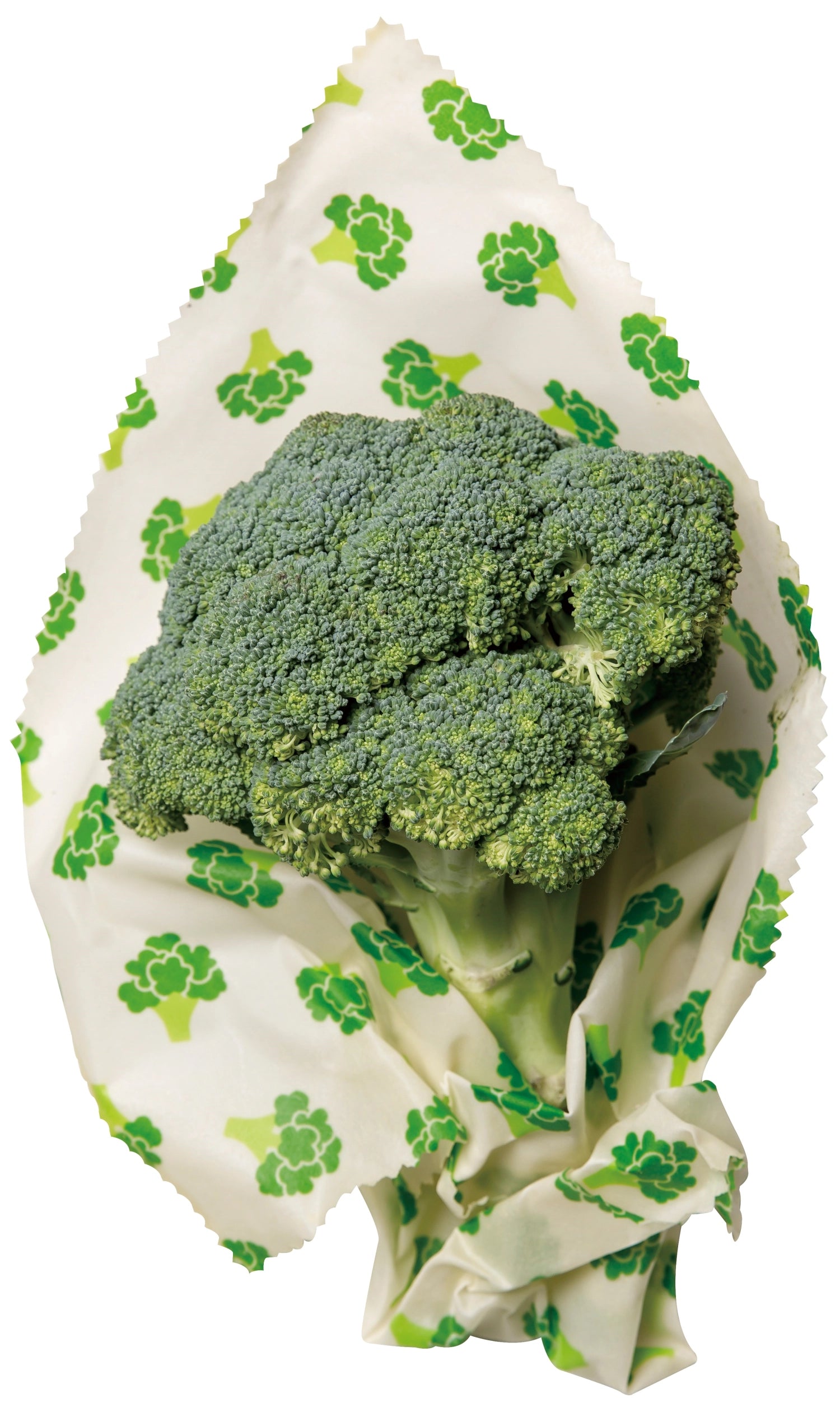 Set of 3 beeswax cloth broccoli, 18x20.25x28.33x35.5cm