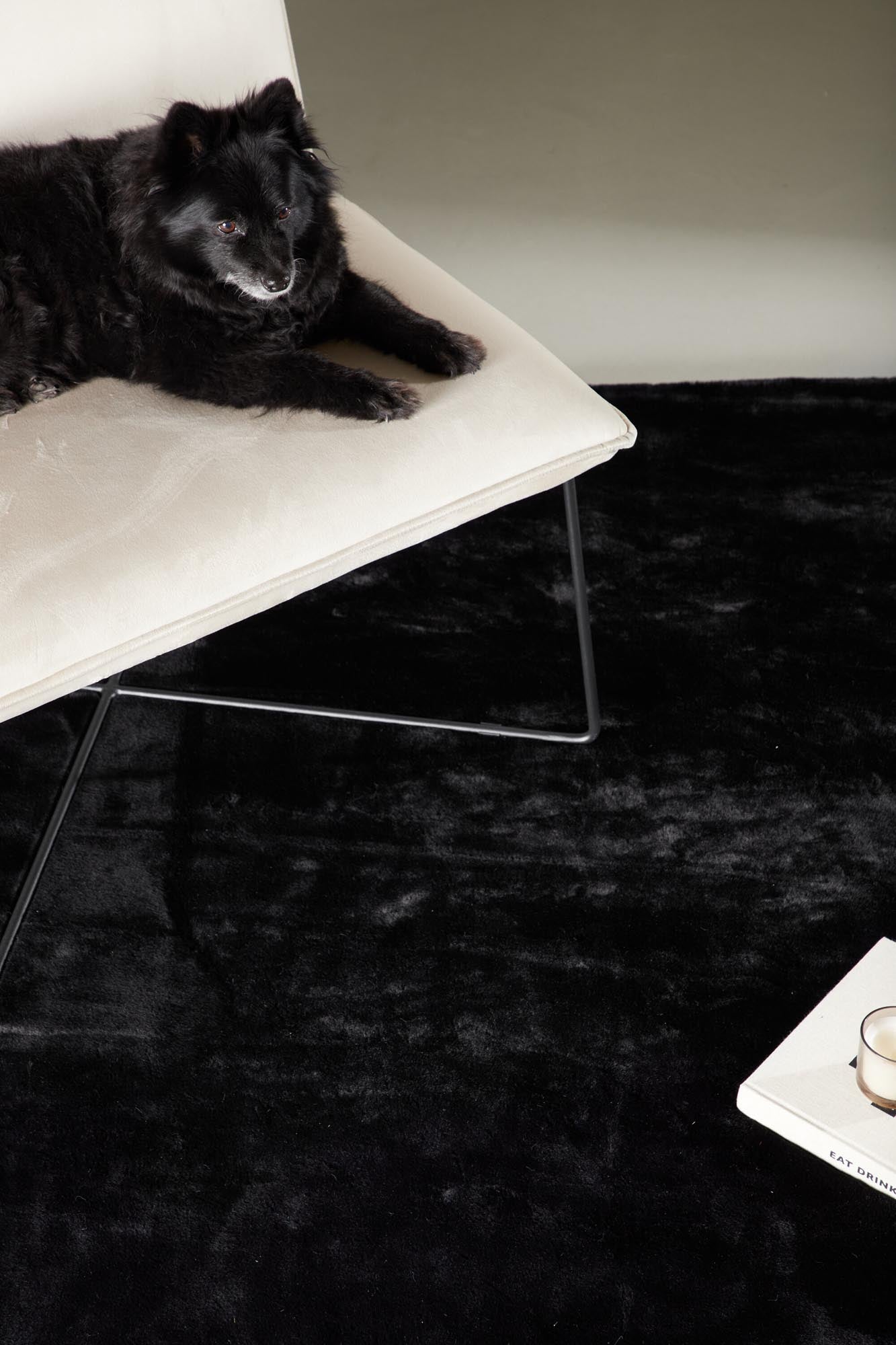 Eleganter Nina Teppich von Venture Home in klassischem Schwarz.