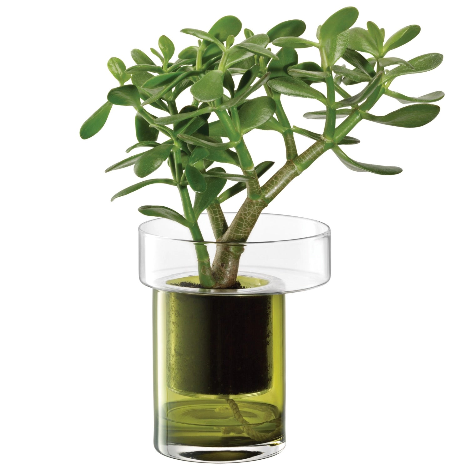 Plante Pot Balcony-Auto-lancé H19 Ø16 cm Green transparent/olive