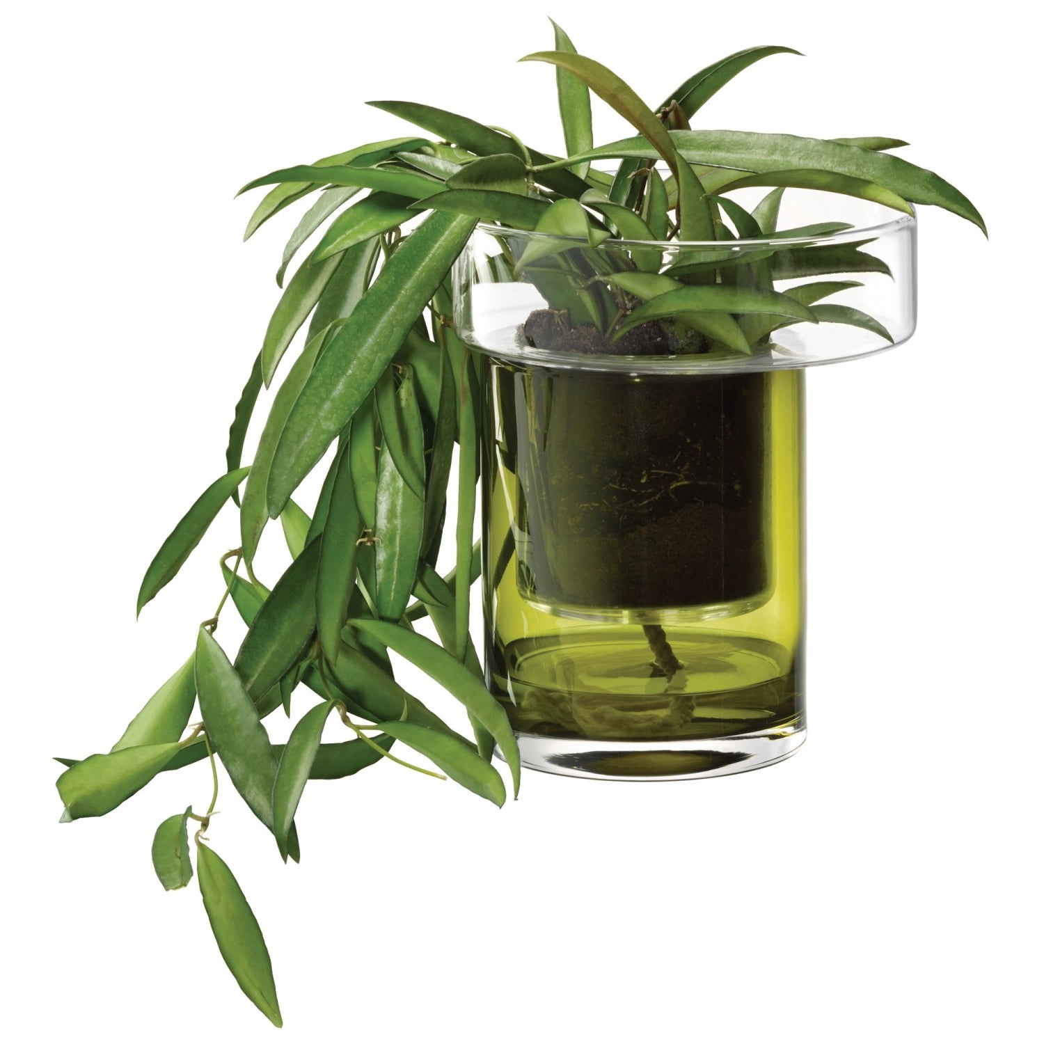 Plante Pot Balcony-Auto-lancé H19 Ø16 cm Green transparent/olive