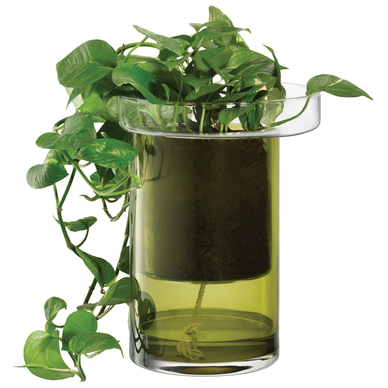 LSA Pflanzentopf: Selbstwässernd, klar/olivgrün, H35 Ø26 cm.