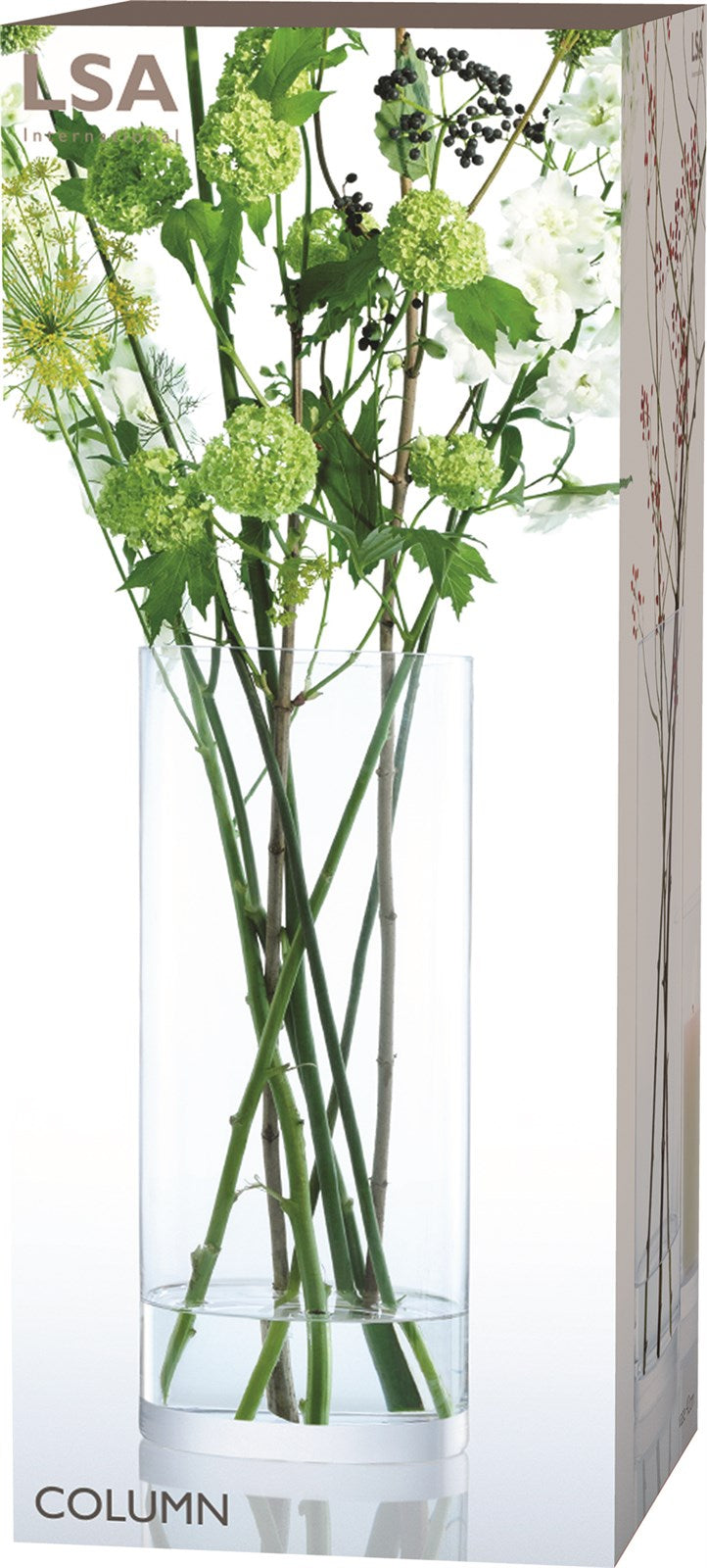 Elegante, mundgeblasene Column Vase von LSA, 42cm hoch, Ø18cm, aus klarem Glas. Zeitloses Design für stilvolle Blumenarrangements.