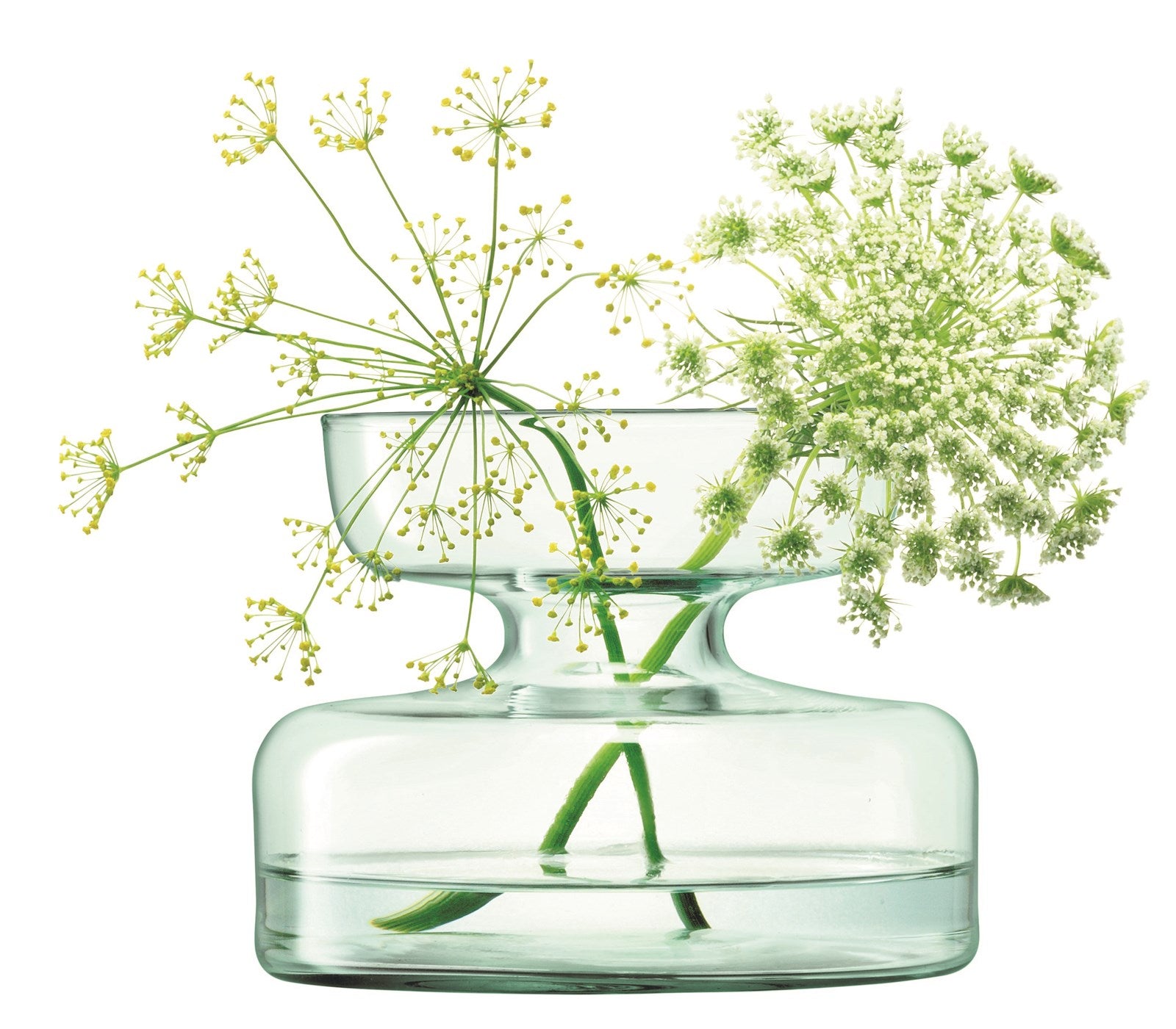 Elegante, nachhaltige Vase aus recyceltem Glas, ideal für Zwiebelpflanzen. Perfekt für stilvolle, umweltbewusste Dekoration.