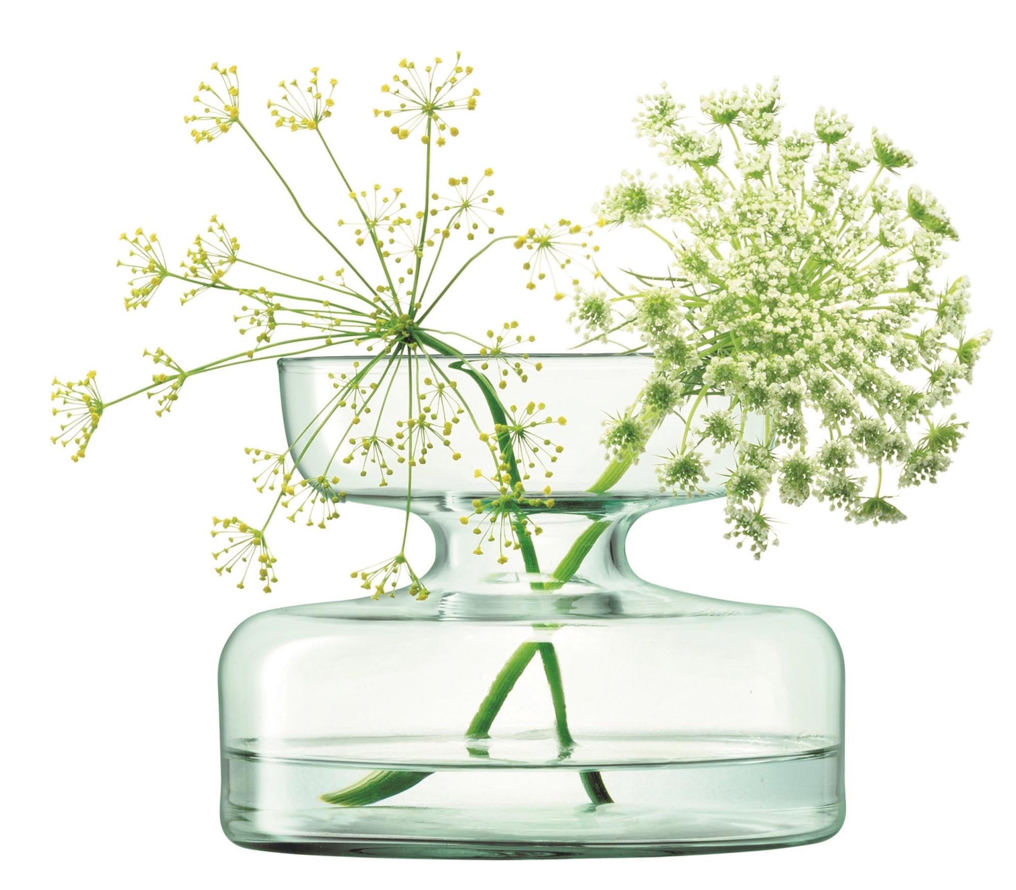 Elegante Canopy Vase H10cm aus umweltfreundlichem, recyceltem Glas – ideal für die Präsentation von Zwiebelpflanzen in jedem Raum.